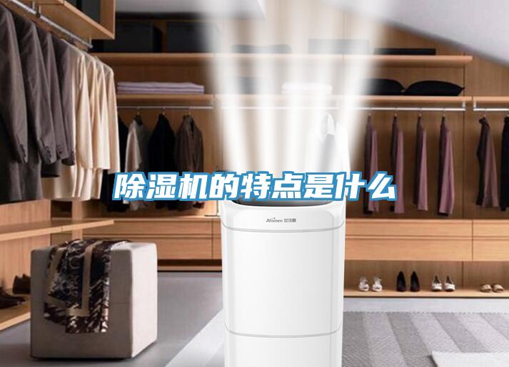 除湿机的特点是什么