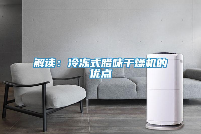 解读：冷冻式腊味干燥机的优点