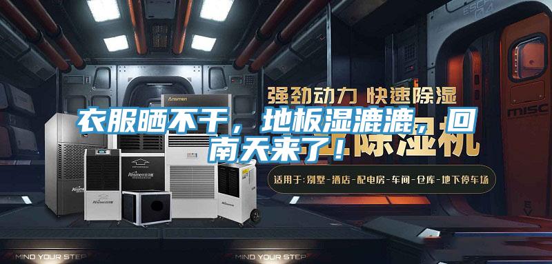 衣服晒不干，地板湿漉漉，回南天来了！