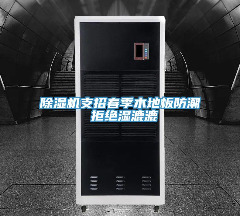 除湿机支招春季木地板防潮 拒绝湿漉漉