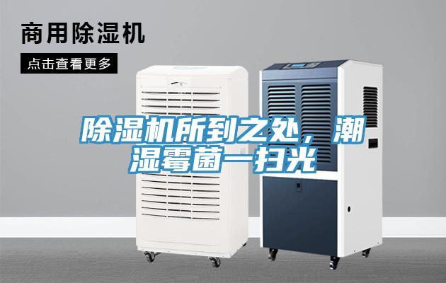 除湿机所到之处，潮湿霉菌一扫光