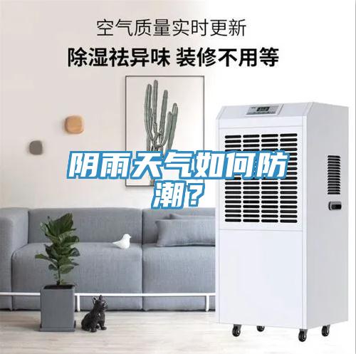 阴雨天气如何防潮？