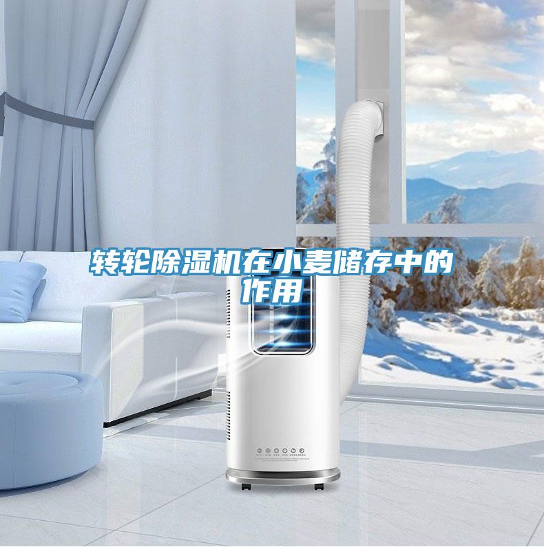 转轮除湿机在小麦储存中的作用