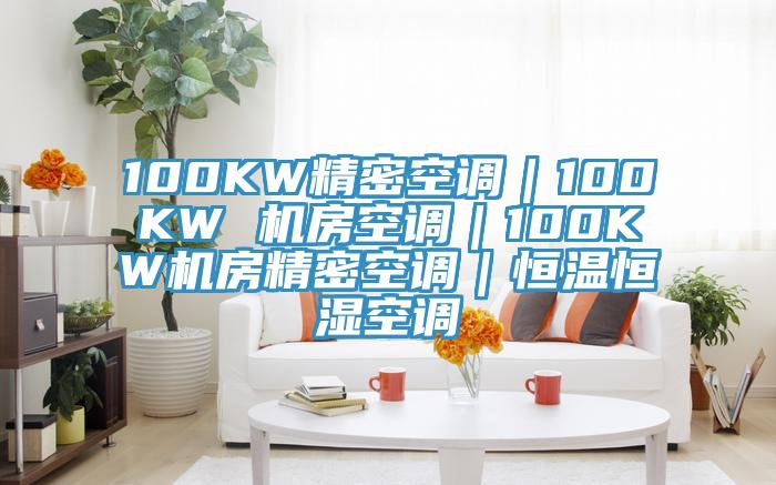100KW精密空调｜100KW 机房空调｜100KW机房精密空调｜恒温恒湿空调