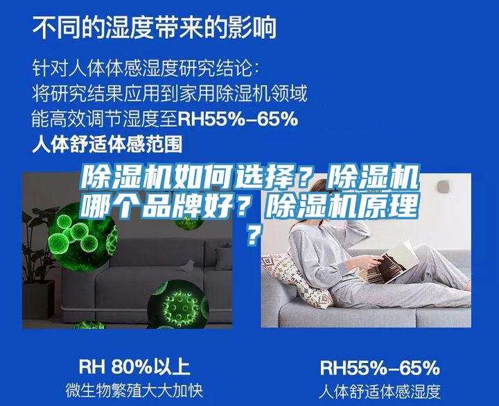 除湿机如何选择？除湿机哪个品牌好？除湿机原理？