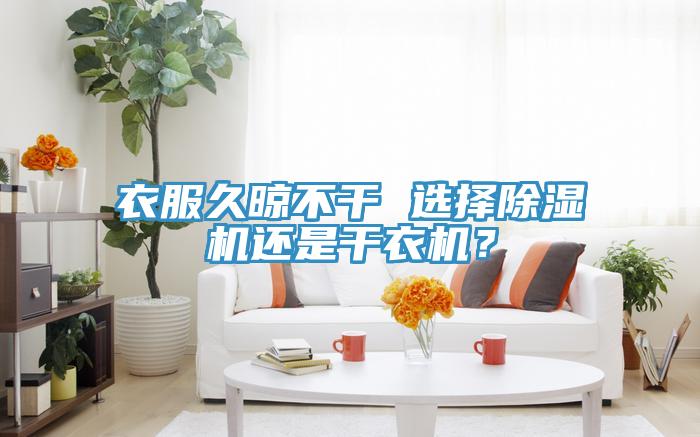 衣服久晾不干 选择除湿机还是干衣机？