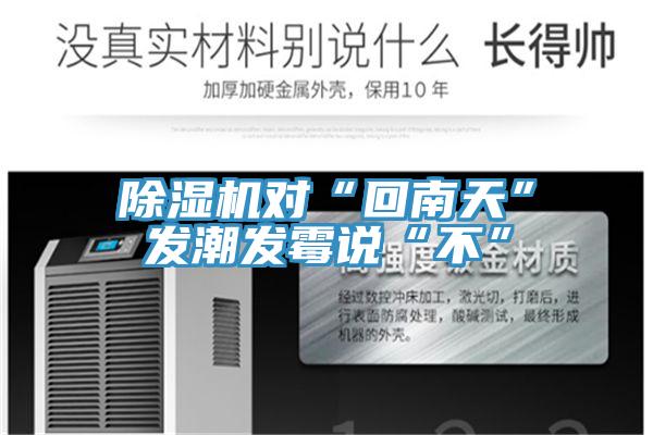 除湿机对“回南天”发潮发霉说“不”