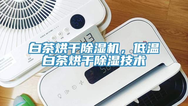 白茶烘干除湿机，低温白茶烘干除湿技术