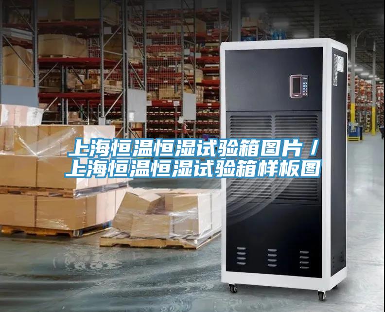 上海恒温恒湿试验箱图片／上海恒温恒湿试验箱样板图