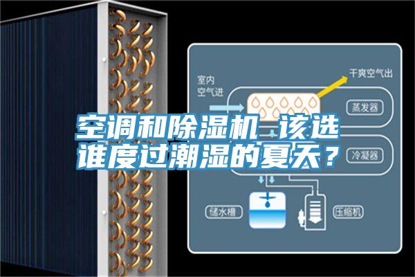 空调和除湿机 该选谁度过潮湿的夏天？