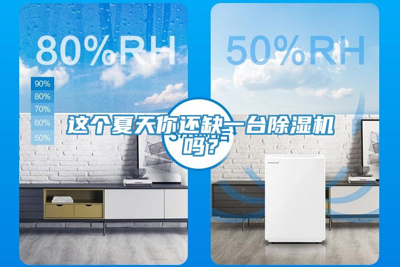 这个夏天你还缺一台除湿机吗？