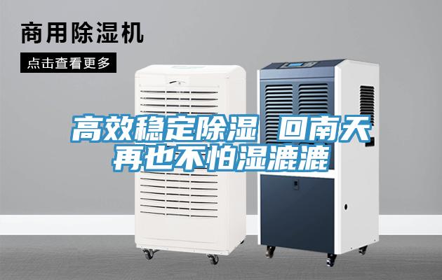 高效稳定除湿 回南天再也不怕湿漉漉