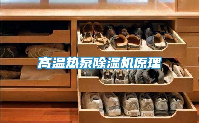 高温热泵除湿机原理