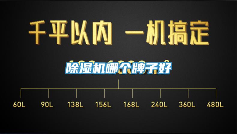 除湿机哪个牌子好
