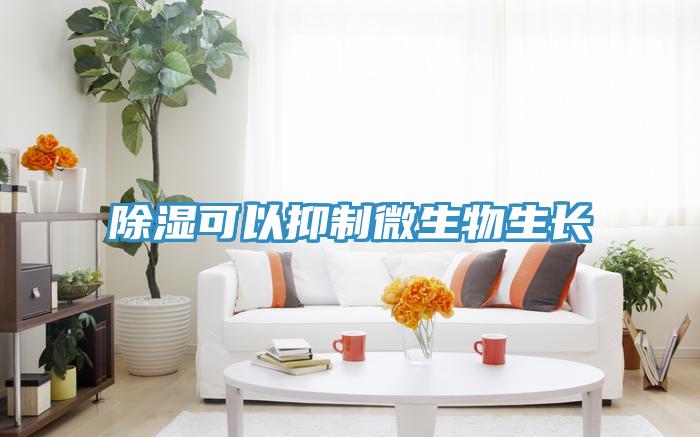 除湿可以抑制微生物生长