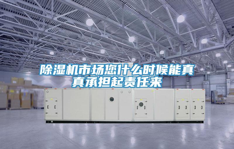 除湿机市场您什么时候能真真承担起责任来