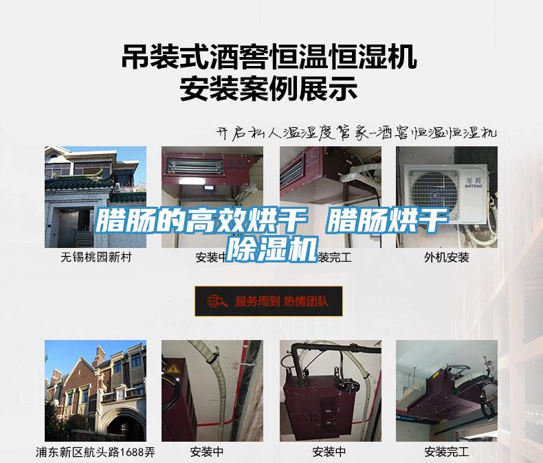 腊肠的高效烘干 腊肠烘干除湿机