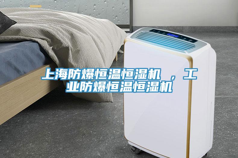 上海防爆恒温恒湿机 ，工业防爆恒温恒湿机