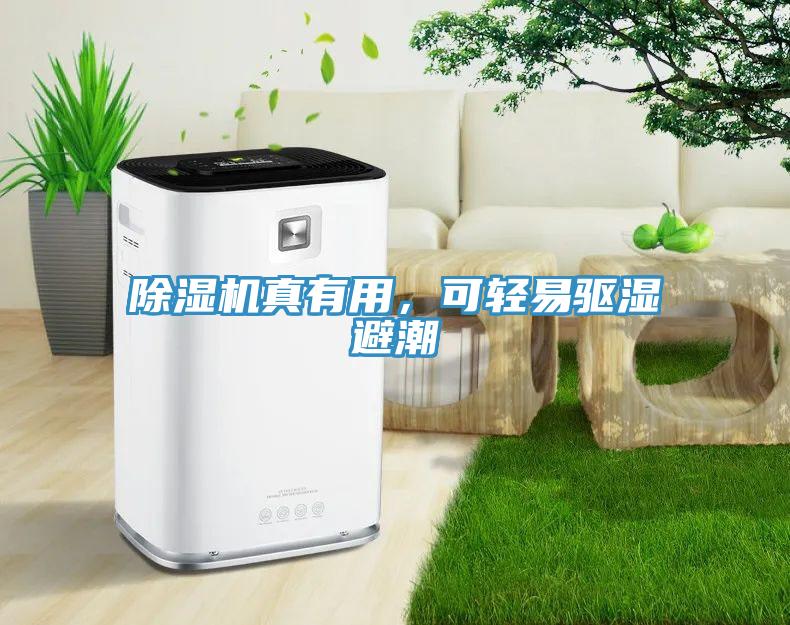 除湿机真有用，可轻易驱湿避潮