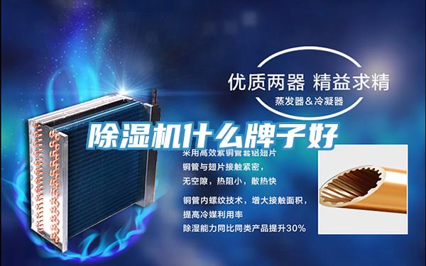 除湿机什么牌子好