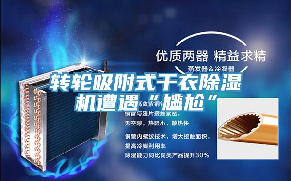 转轮吸附式干衣除湿机遭遇“尴尬”