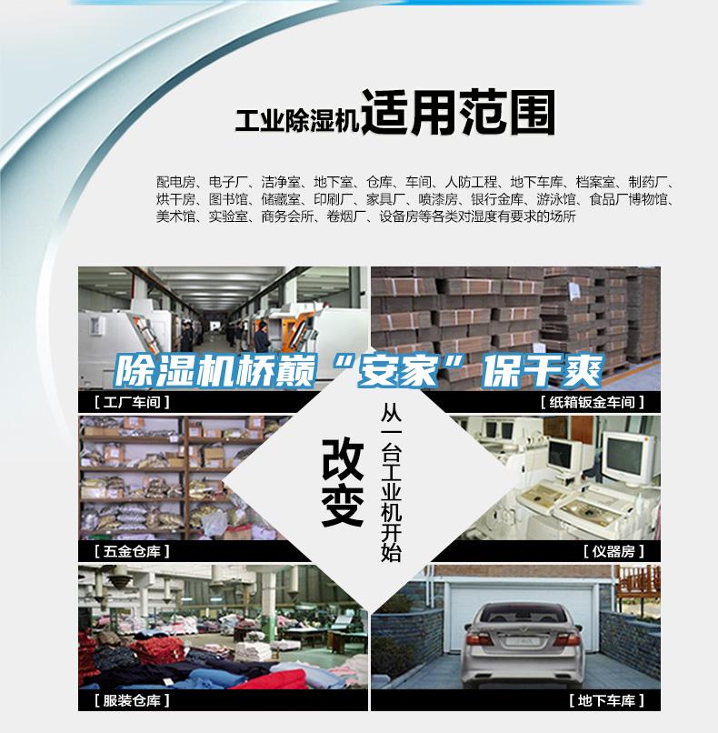 除湿机桥巅“安家”保干爽