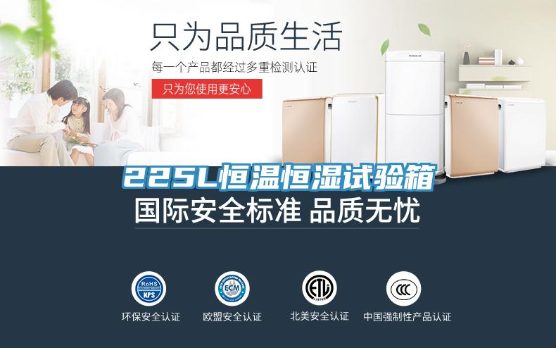 225L恒温恒湿试验箱