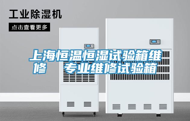 上海恒温恒湿试验箱维修  专业维修试验箱