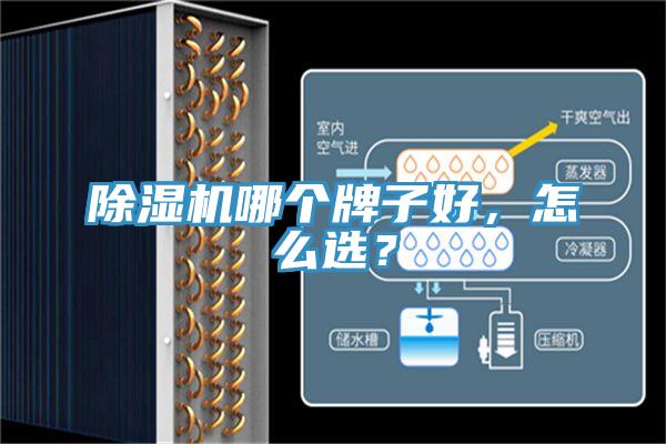 除湿机哪个牌子好，怎么选？