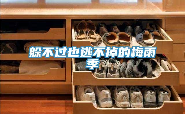 躲不过也逃不掉的梅雨季