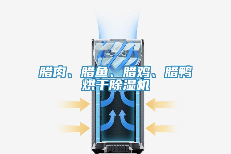 腊肉、腊鱼、腊鸡、腊鸭烘干除湿机