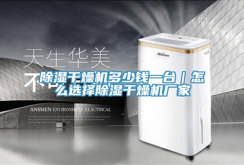除湿干燥机多少钱一台｜怎么选择除湿干燥机厂家