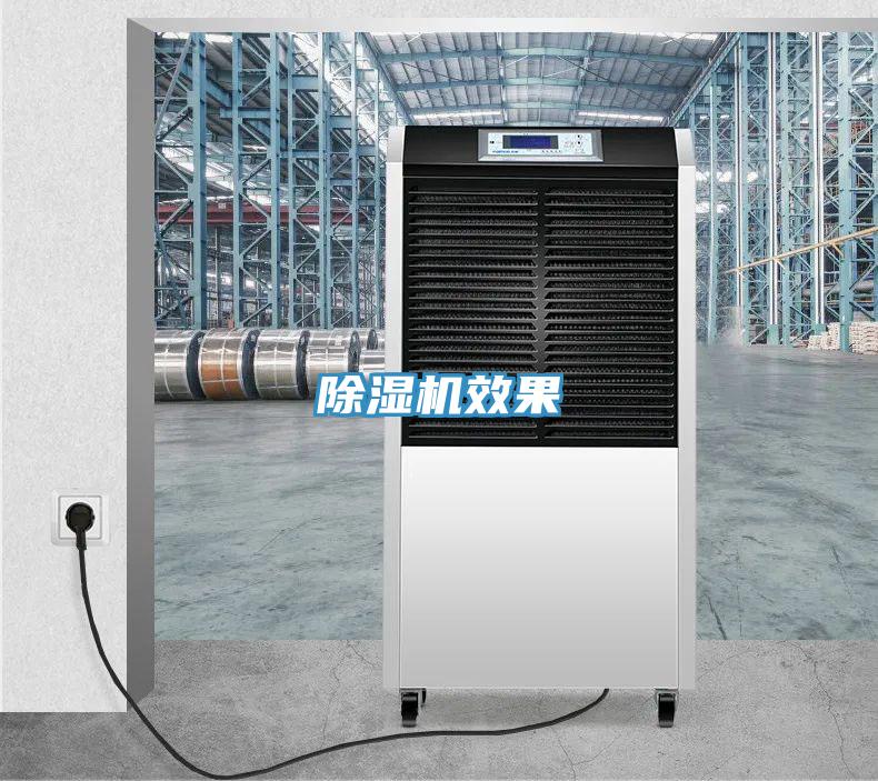 除湿机效果