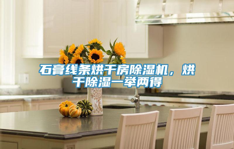 石膏线条烘干房除湿机，烘干除湿一举两得