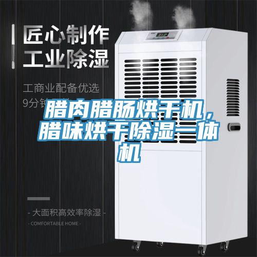 腊肉腊肠烘干机，腊味烘干除湿一体机
