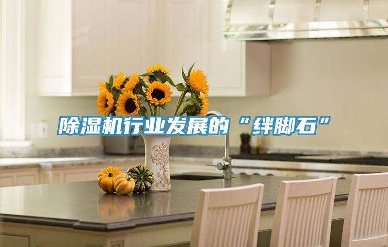 除湿机行业发展的“绊脚石”