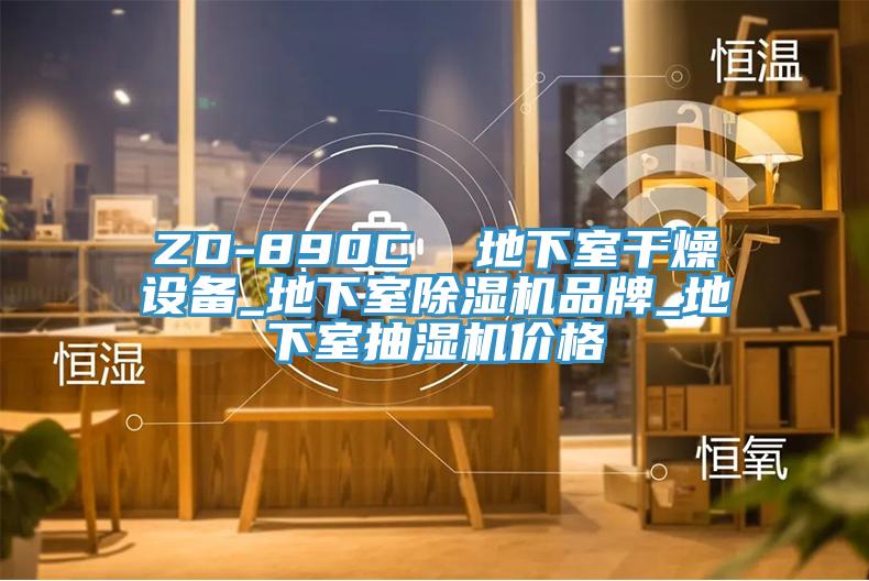 ZD-890C  地下室干燥设备_地下室除湿机品牌_地下室抽湿机价格