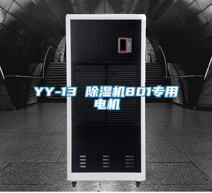 YY-13 除湿机801专用电机