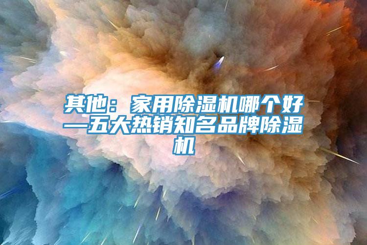 其他：家用除湿机哪个好—五大热销知名品牌除湿机