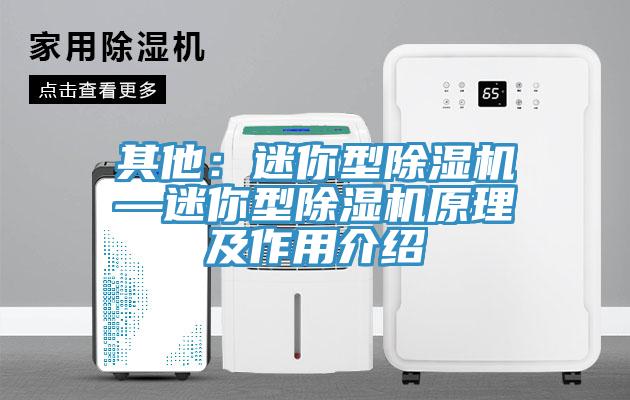 其他：迷你型除湿机—迷你型除湿机原理及作用介绍