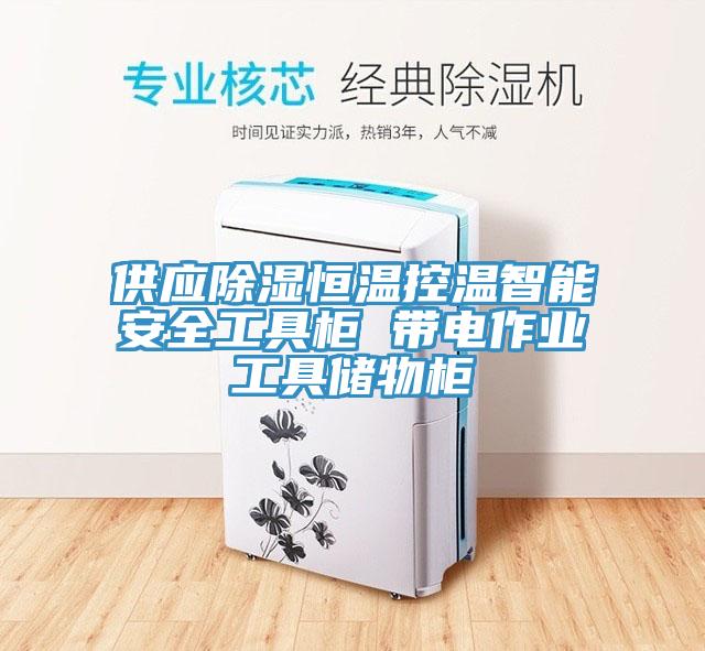 供应除湿恒温控温智能安全工具柜 带电作业工具储物柜
