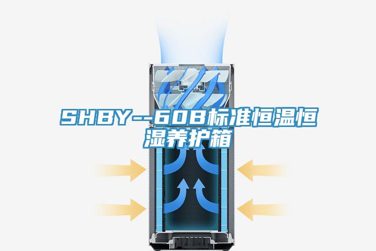 SHBY--60B标准恒温恒湿养护箱