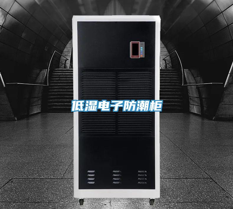 低湿电子防潮柜