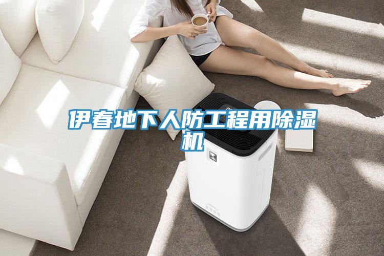 伊春地下人防工程用除湿机