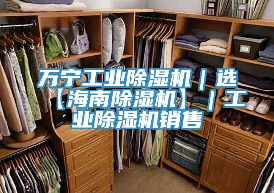 万宁工业除湿机｜选【海南除湿机】｜工业除湿机销售