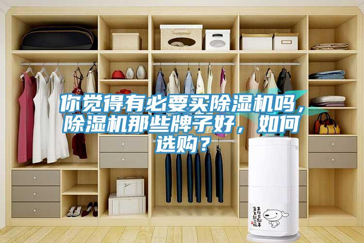 你觉得有必要买除湿机吗，除湿机那些牌子好，如何选购？