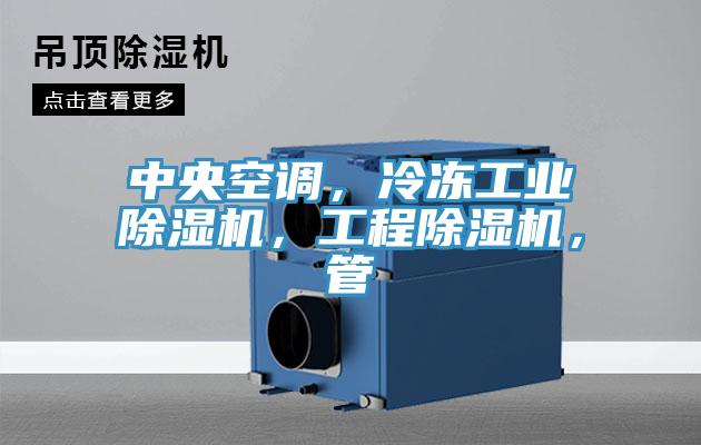 中央空调，冷冻工业除湿机，工程除湿机，管