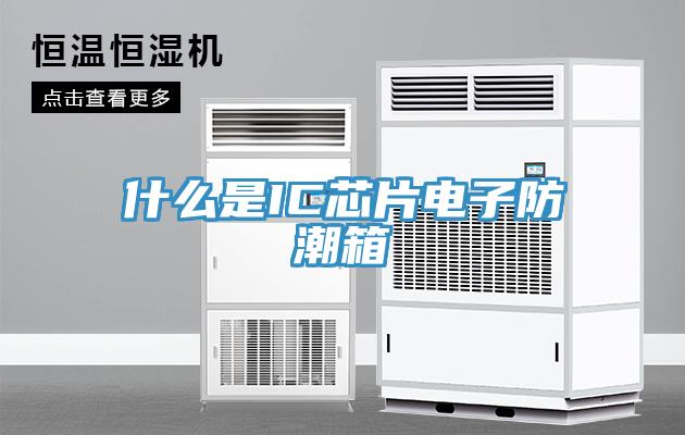什么是IC芯片电子防潮箱