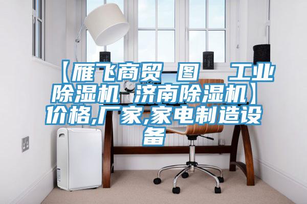 【雁飞商贸 图  工业除湿机 济南除湿机】价格,厂家,家电制造设备