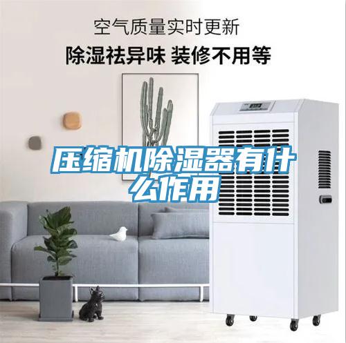 压缩机除湿器有什么作用